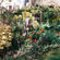 Gardens Update and Feature!