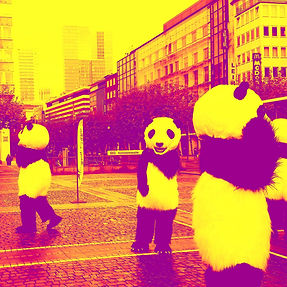 Never Again with These Pandas