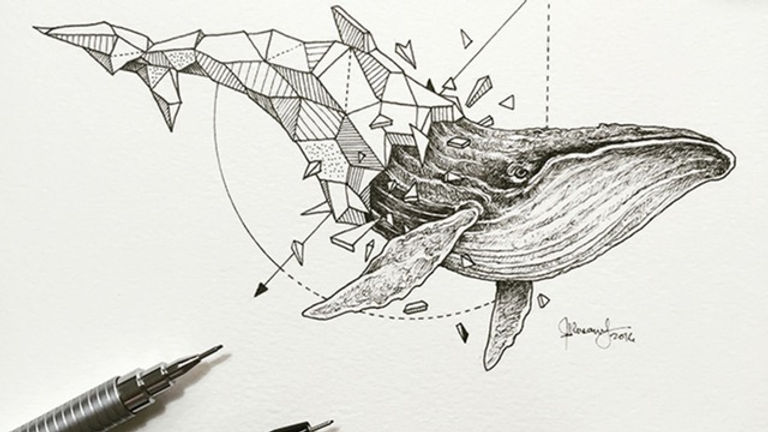 whaledrawingheader.jpeg