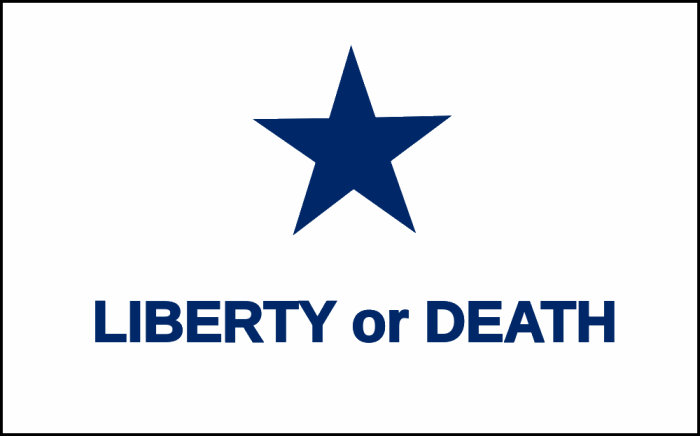 Liberty or Death Georgia.gif