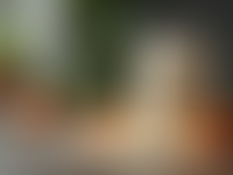 As melhores marcas de whey protein confiáveis no Brasil