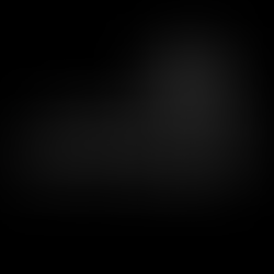 SEASON II: The Orchestra