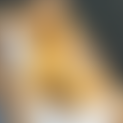 Spring Rolls on wooden plate