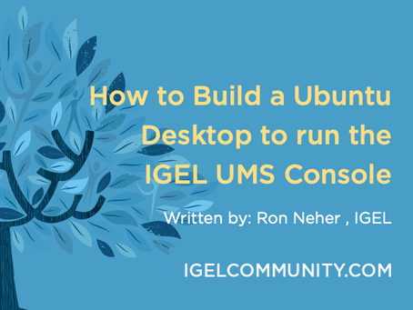 How to Build a Ubuntu Desktop to run the IGEL UMS Console