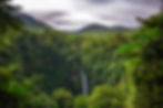 iStock-1303926256.jpg