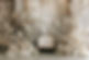 photorealistic-wedding-venue-with-intricate-decor-ornaments.jpg