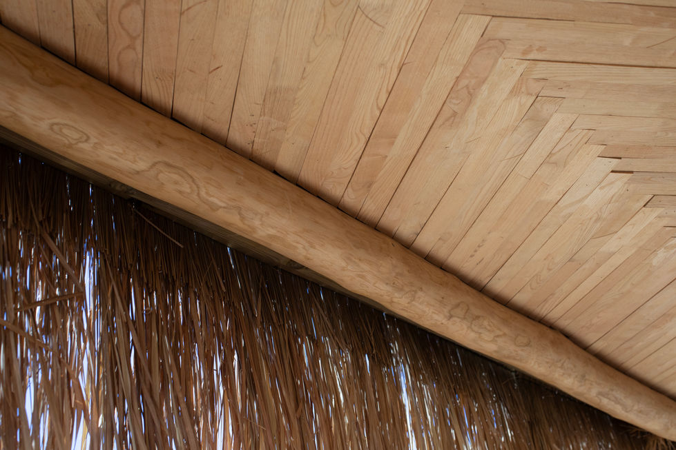 EL CHIRINGUITO 2025 -217.jpg