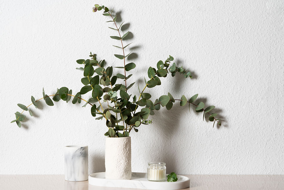 Naturaleza en Casa: Transformando tu Hogar con Elementos Naturales