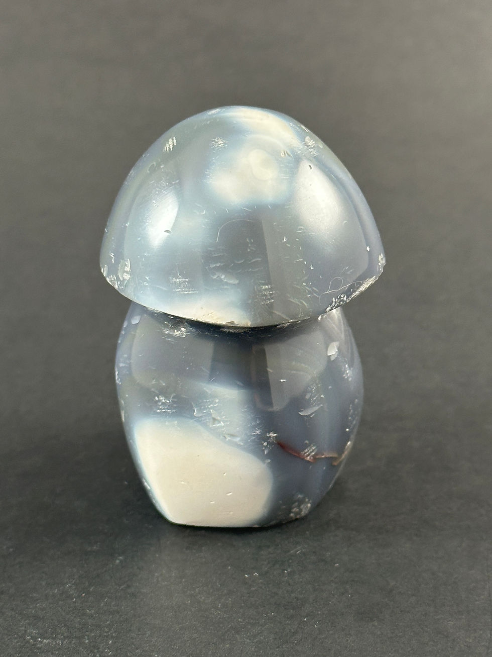 Miniature : Champignon d'agate orca