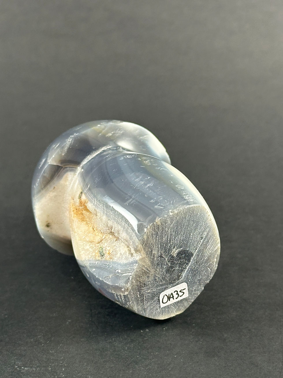 Miniature : Champignon d'agate orca