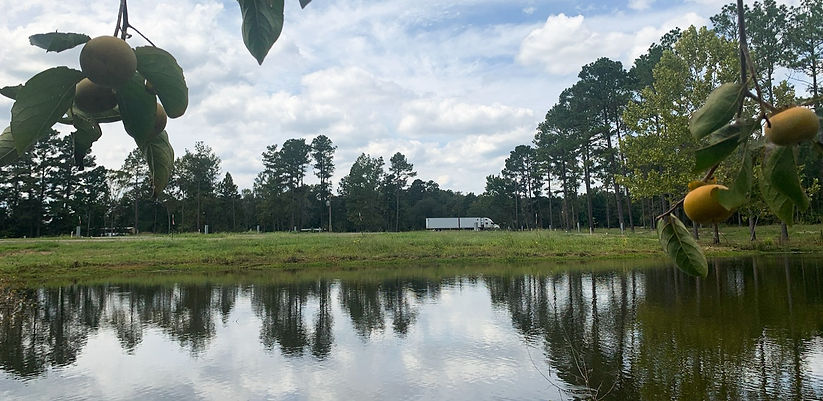 IMG-4717_edited.jpg