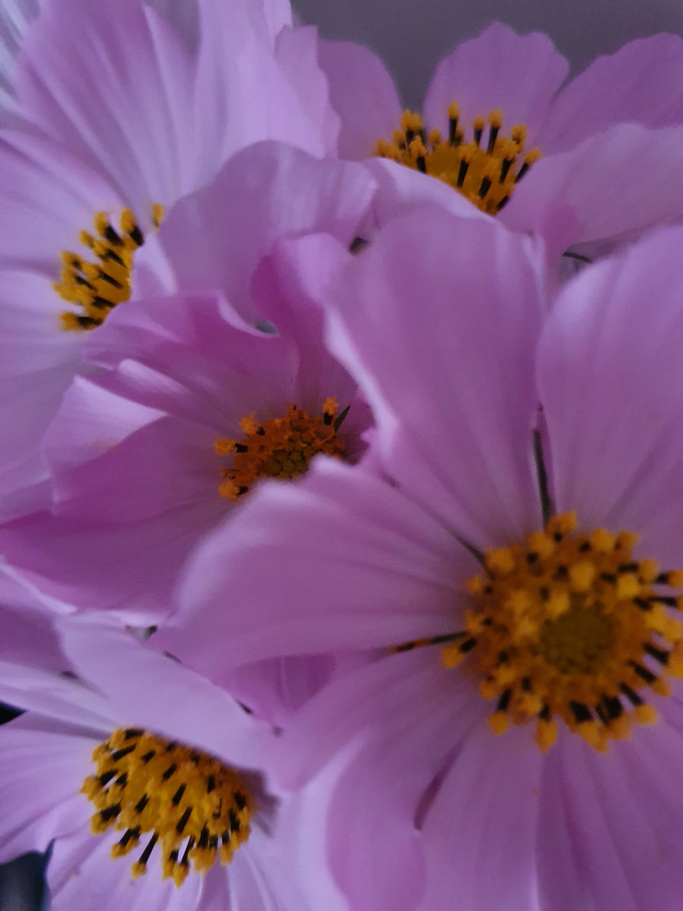 Not What You Thought