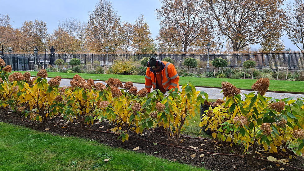 La Gab Services · Service paysage