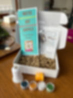 Beginner Beadwork Kits