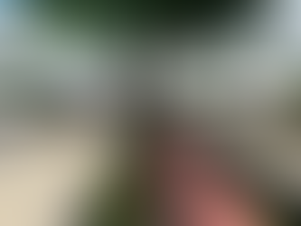 Primeiros trechos do BRT de Salvador serão concluídos em dois anos