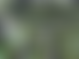 Obra do BRT Salvador tem o valor mais alto entre várias capitais do País