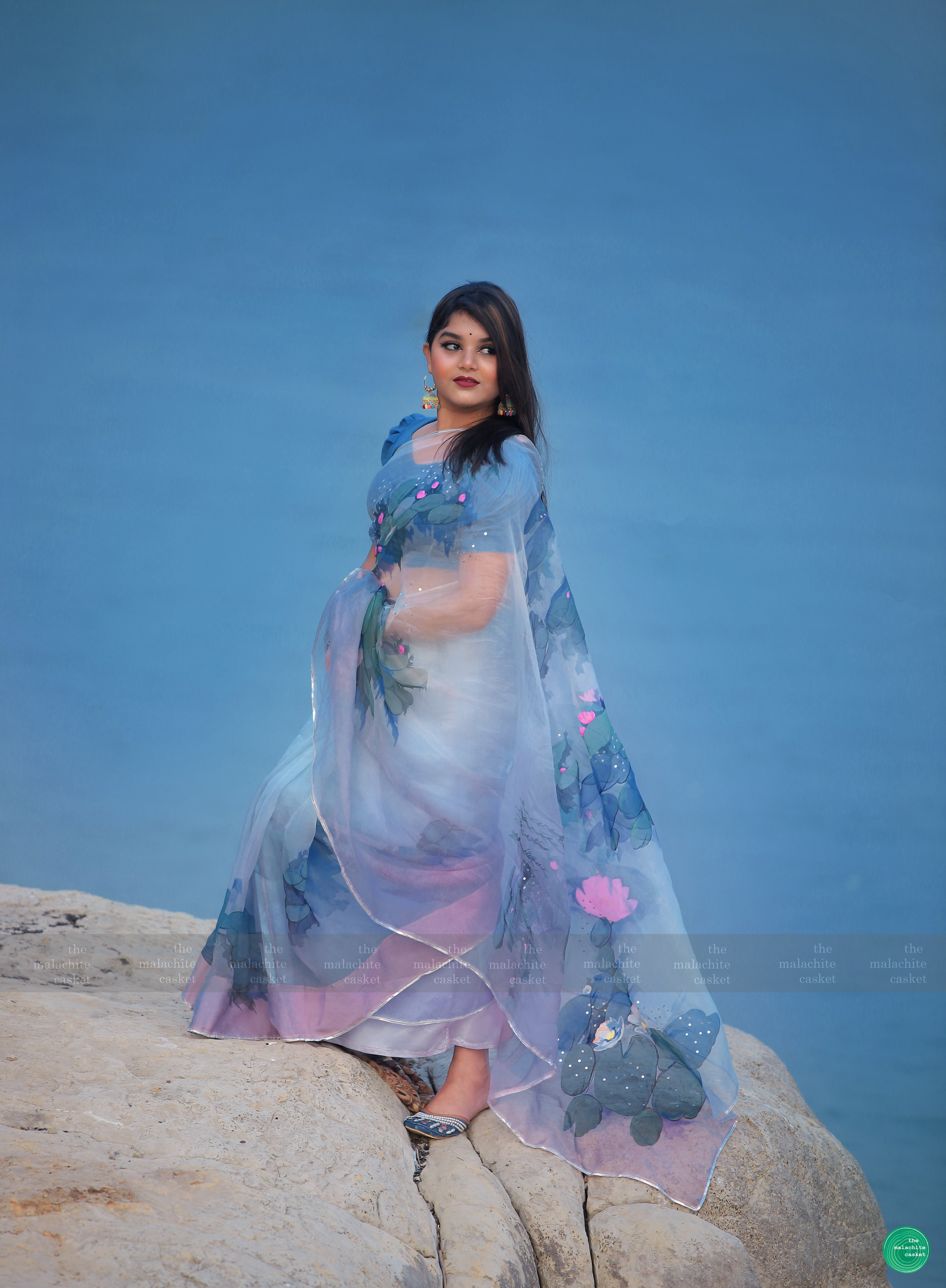 Monets' waterlily saree