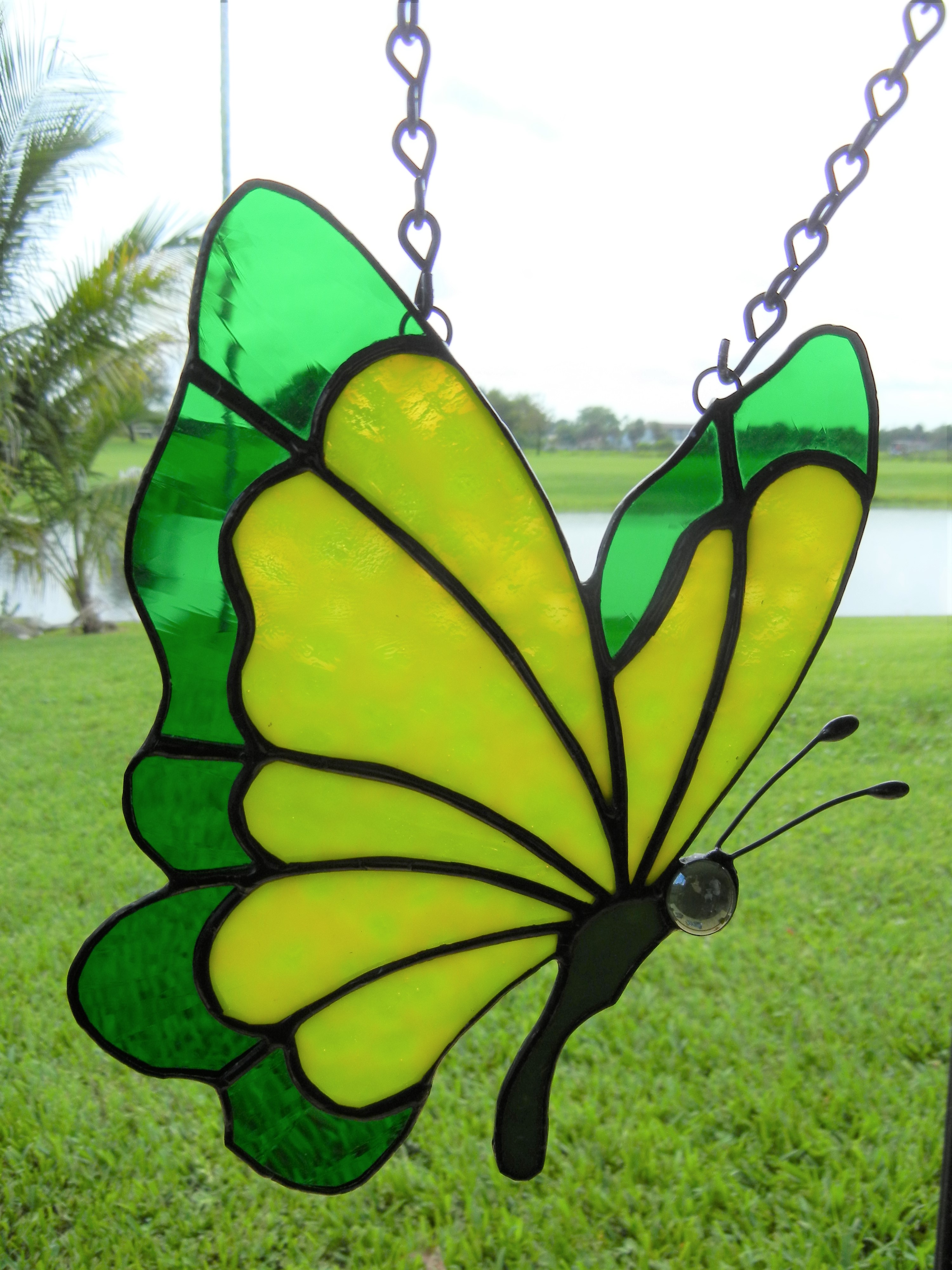 YellowGreen Butterfly 1
