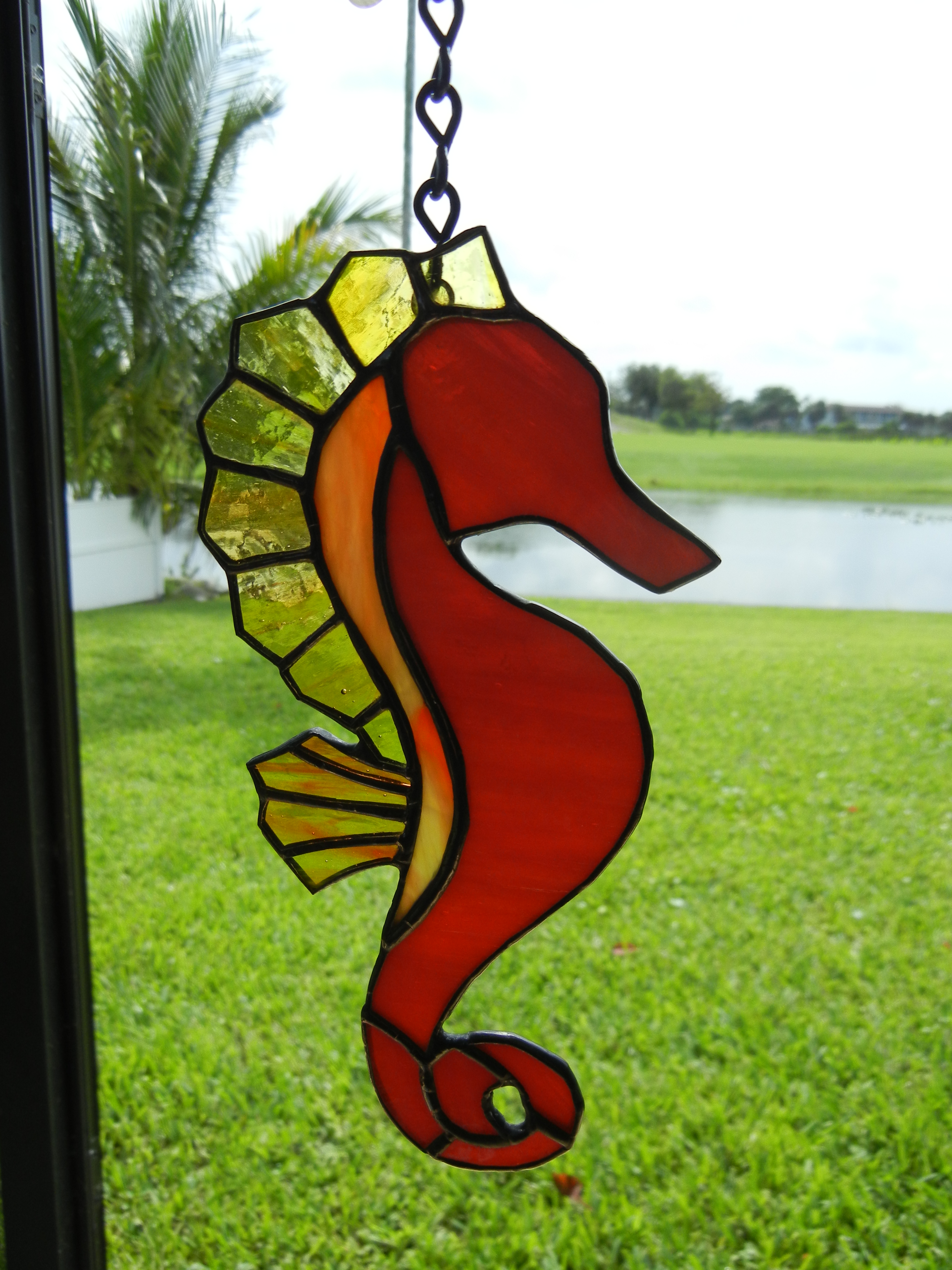 Seahorse 1