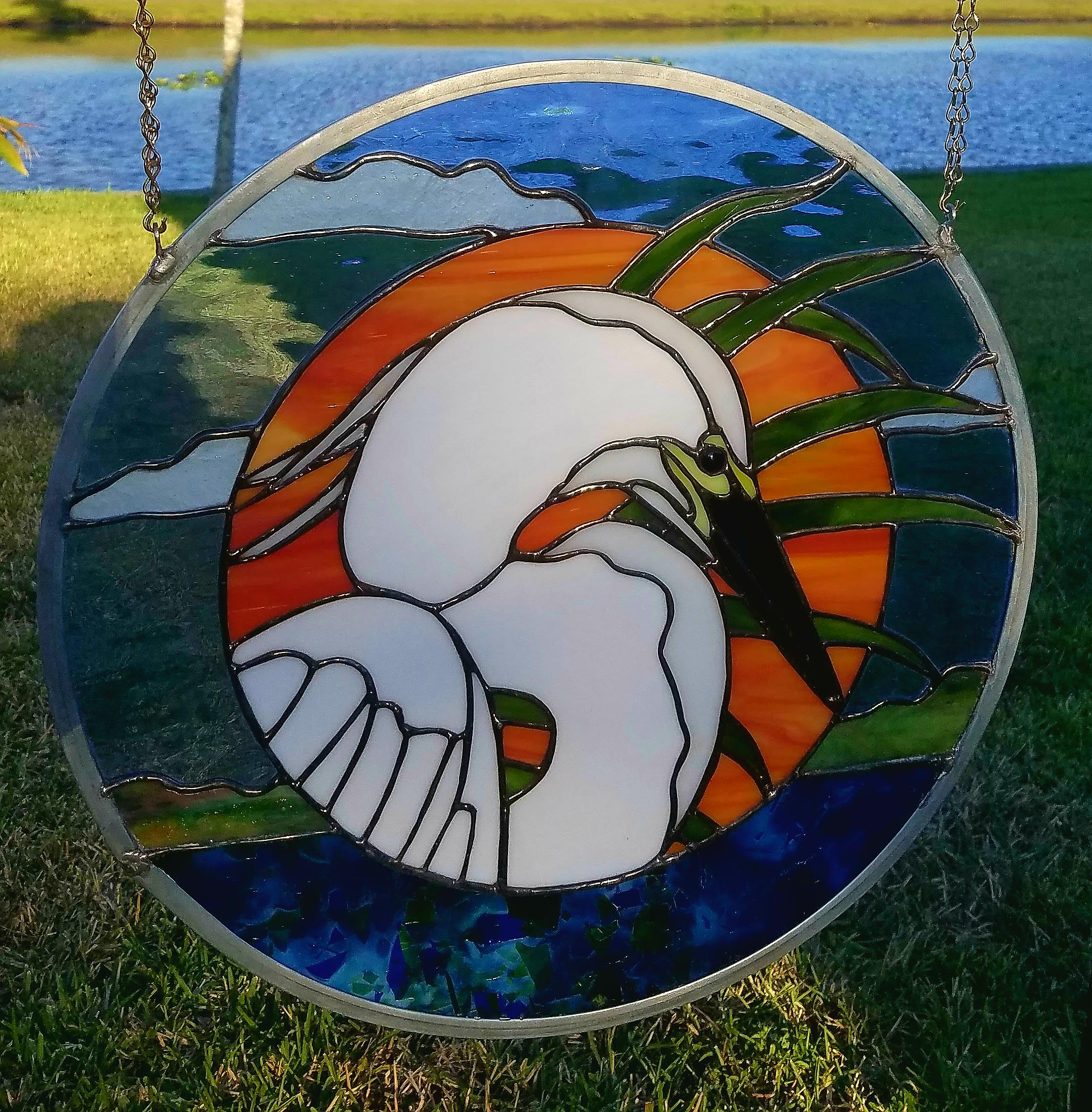 snowy heron