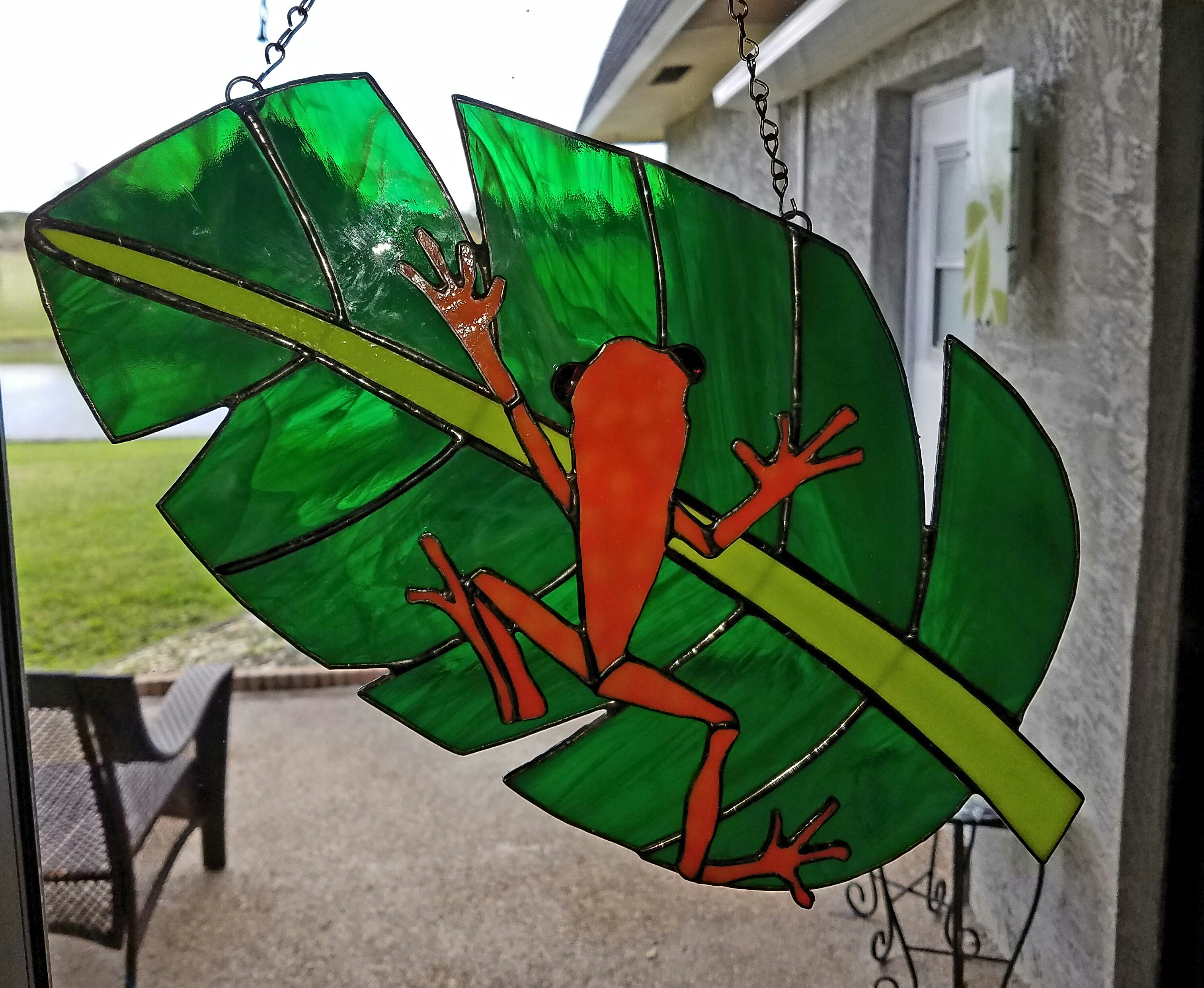 rainforest friend