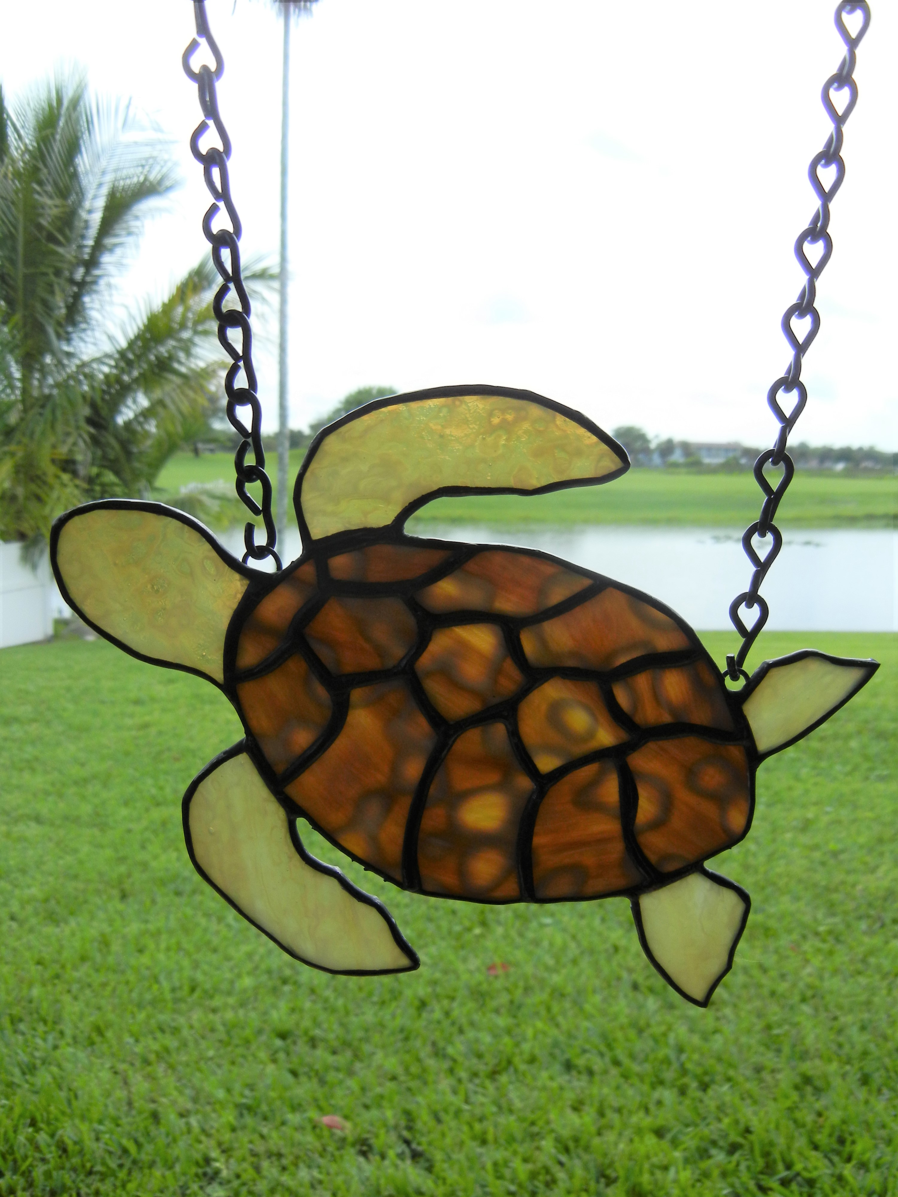 SeaTurtle 1