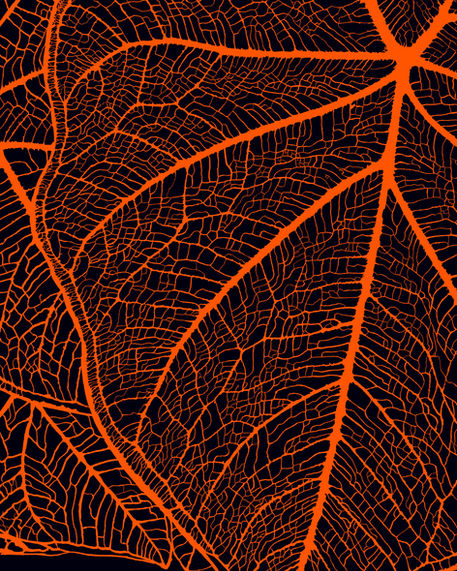 Natural_Networks_2018.jpeg