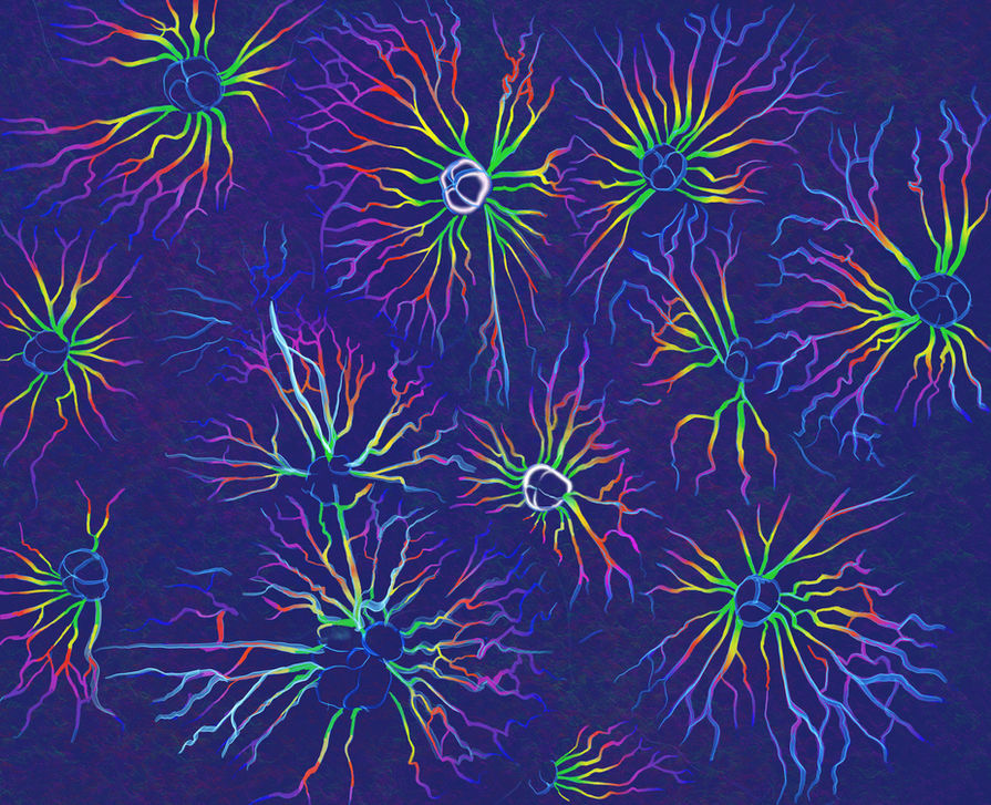 Network_1_2021.jpeg