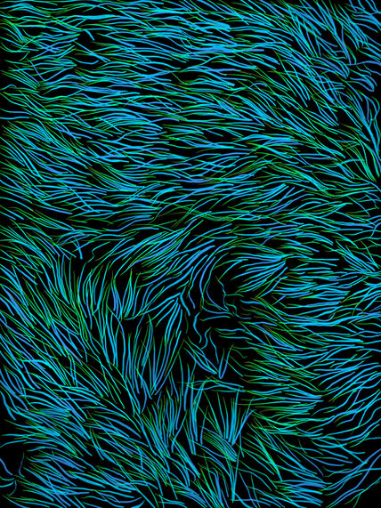 Mossy_Flow_2021.jpeg