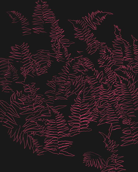 Ferns_2018.jpeg