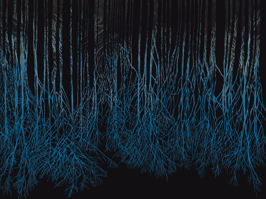Down Trees