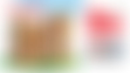 第61回 JAPAN DIY HOMECENTER SHOW 2025に出展させていただきます!