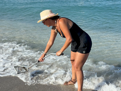 How to Find Mole Crabs on Florida Beaches (With Kids)