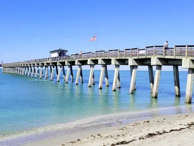 How to Spend a Day in Venice, Florida: A Dreamy Blend of Sun and Small-Town Magic