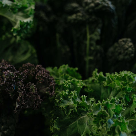 The Vegetable Plot by Irene Strange, Founder Member