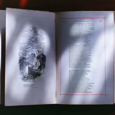 What are the Roots at the Secret Garden of Southsea.