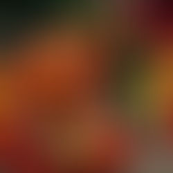 Autumn Gardening at Southsea Green with Goff Gleadle Head Gardener