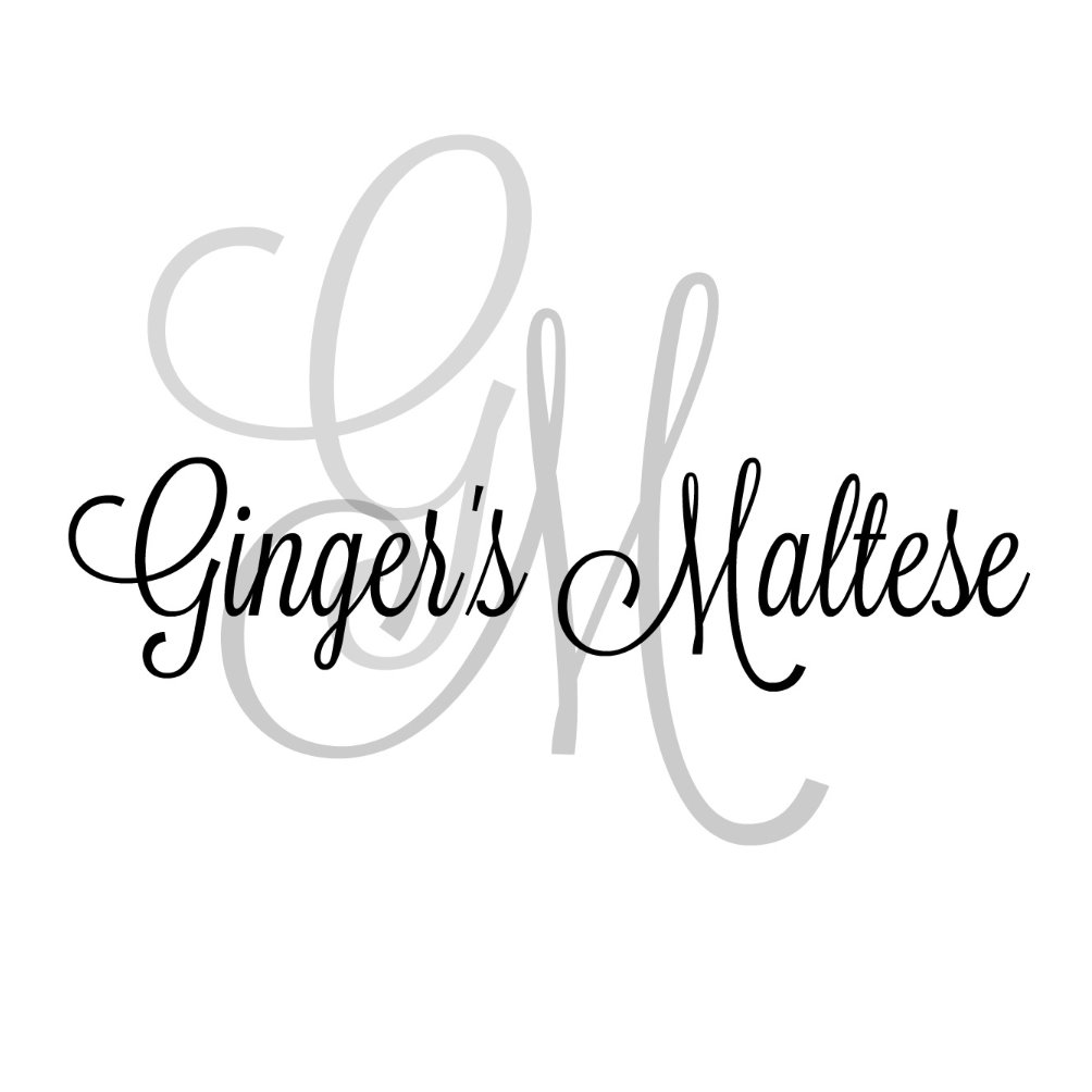 Ginger's Maltese logo