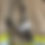 Thumbnail: Spring Clamp