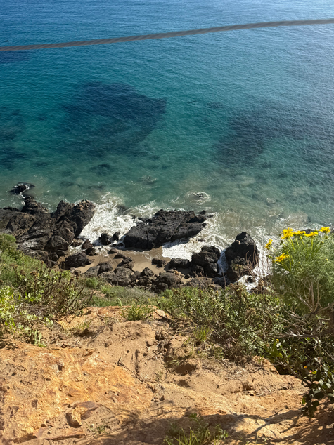 Malibu Ocean