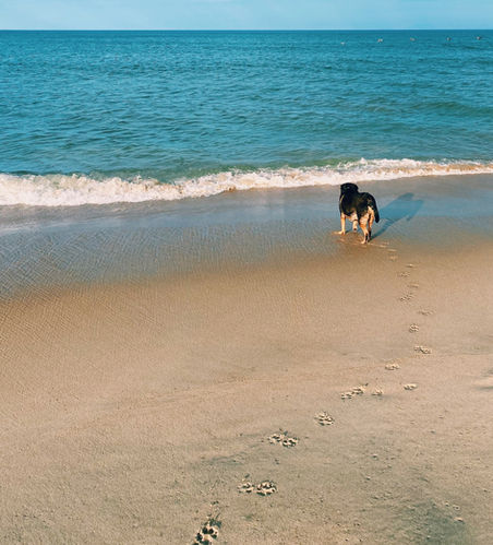 Scooter on the Beach
