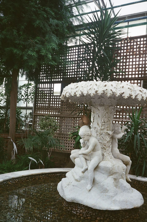 Fountain
