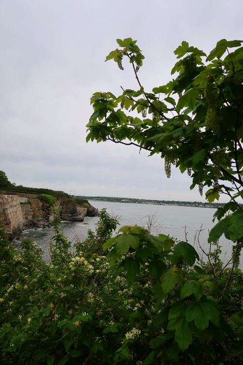 Cliffs on the Coast