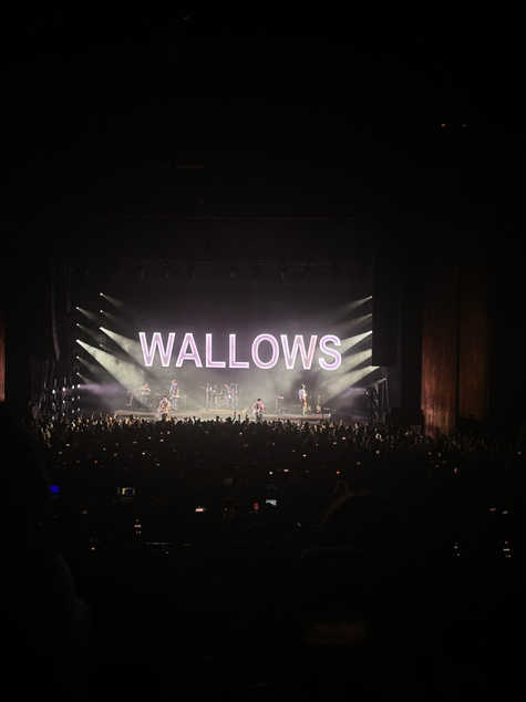 Wallows Stage