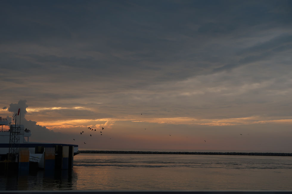 Birds & Sunset