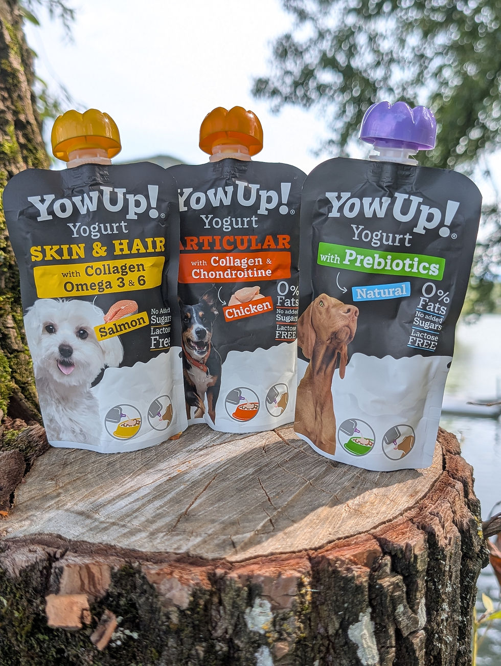 Pâte à fourrer Yow up