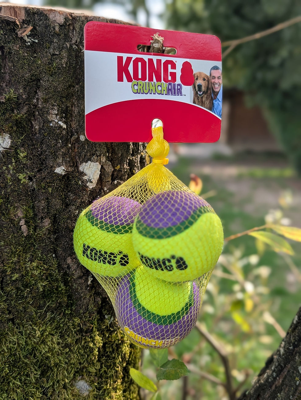 Kong Crunch Air balls x 3
