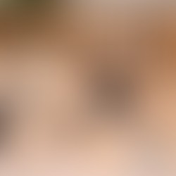 French Bulldog Puppy Development: Weeks 5–6