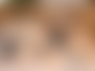 French Bulldog Puppy Development: Weeks 5–6