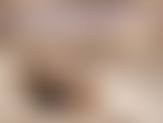 BRINGING HOME A FRENCH BULLDOG PUPPY: WHAT TO EXPECT IN THE FIRST 7 DAYS